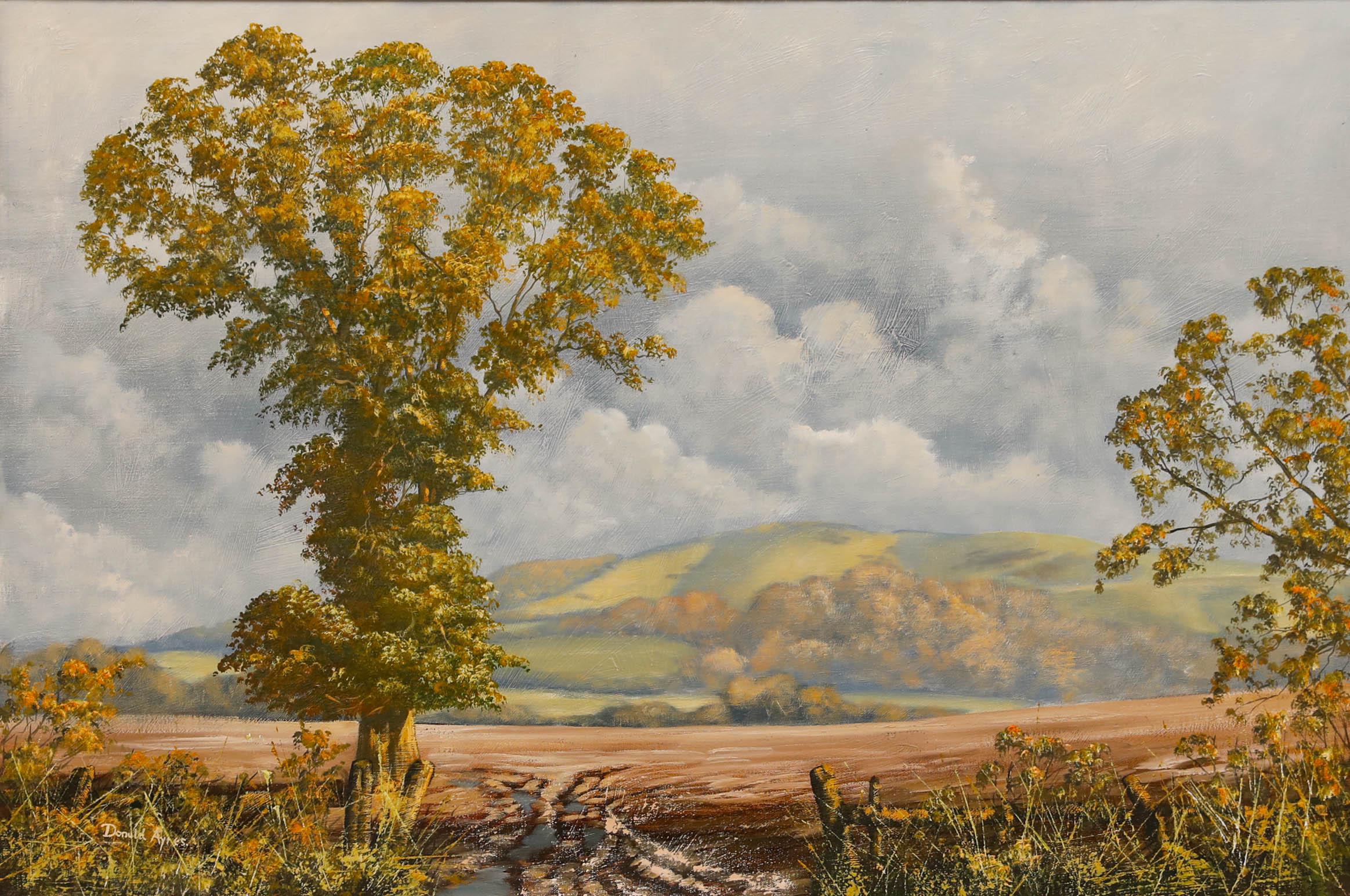 Donald Ayres (n.1936) - Siglo XX Óleo, Las colinas en otoño en venta 1