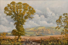 Donald Ayres (né en 1936) - Huile du 20e siècle, Les collines à l'automne