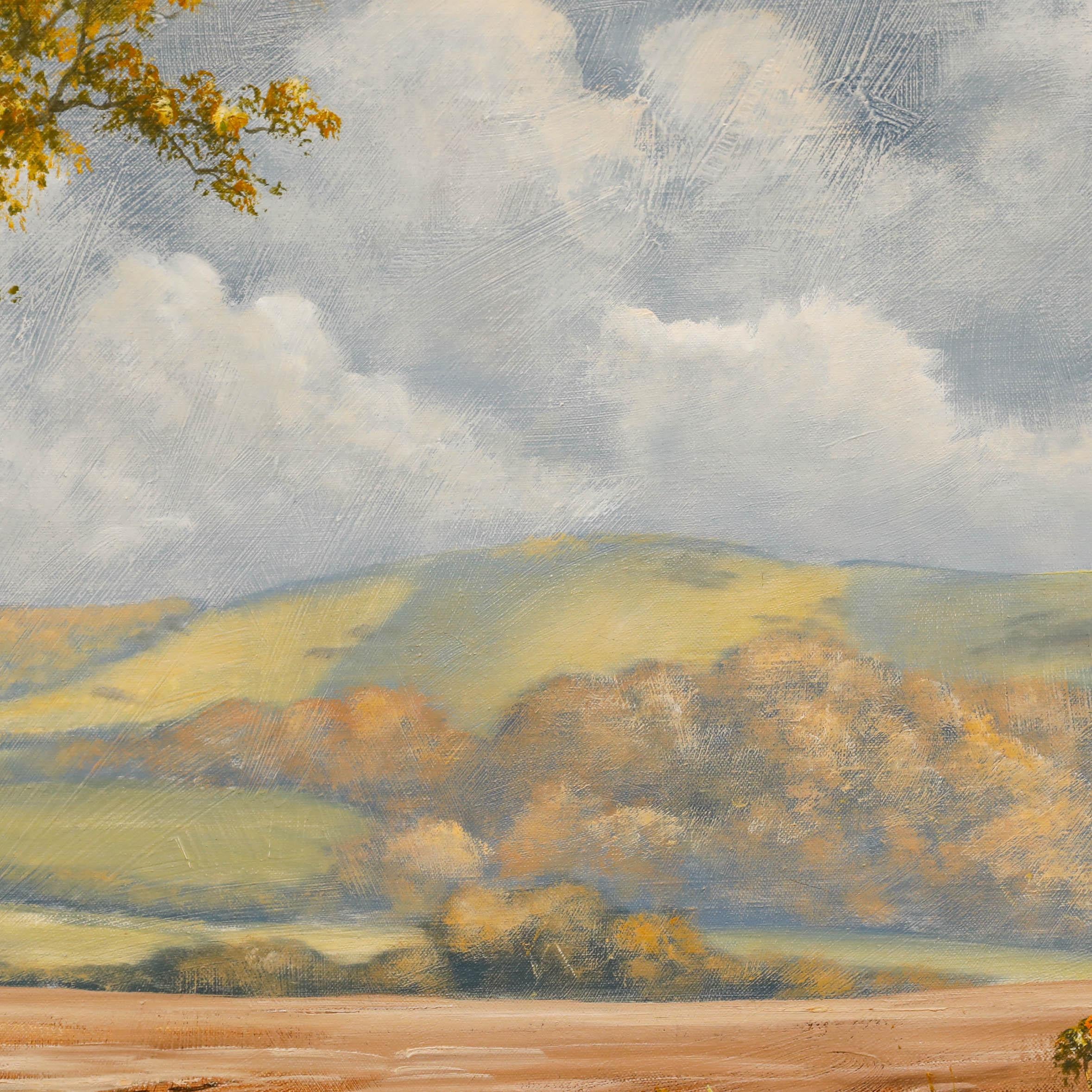 Donald Ayres (n.1936) - Siglo XX Óleo, Las colinas en otoño en venta 4