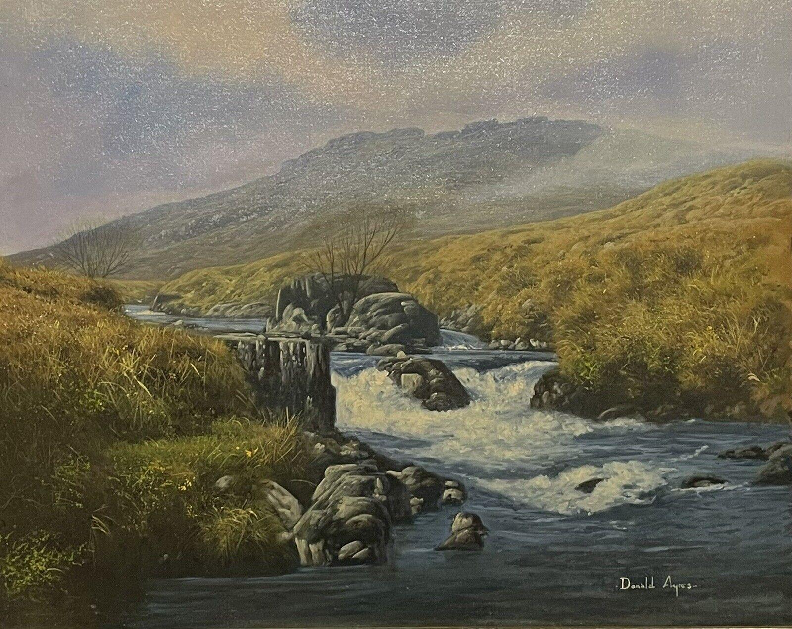 Donald Ayres Landscape Painting - Scottish Highland River in the Mountains, signed Original British Oil Painting 
