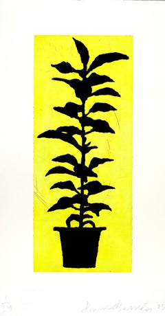 Donald Baechler Potted Plant 2005 (Donald Baechler Prints)