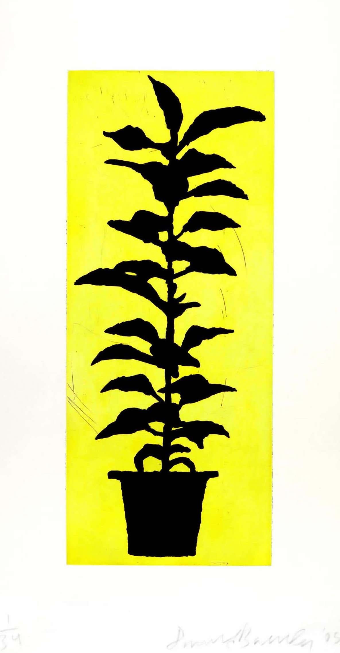 Donald Baechler, Potted Plant, 2005
A fun, whimsical, and highly decorative signed limited edition Baechler piece that works well in any setting.  

Medium: Aquatint and drypoint on Somerset paper.
Plate size: 24 x 10 inches
Sheet size: 32 x 17