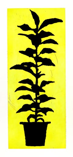 Donald Baechler Potted Plant 2005 (Donald Baechler Prints)