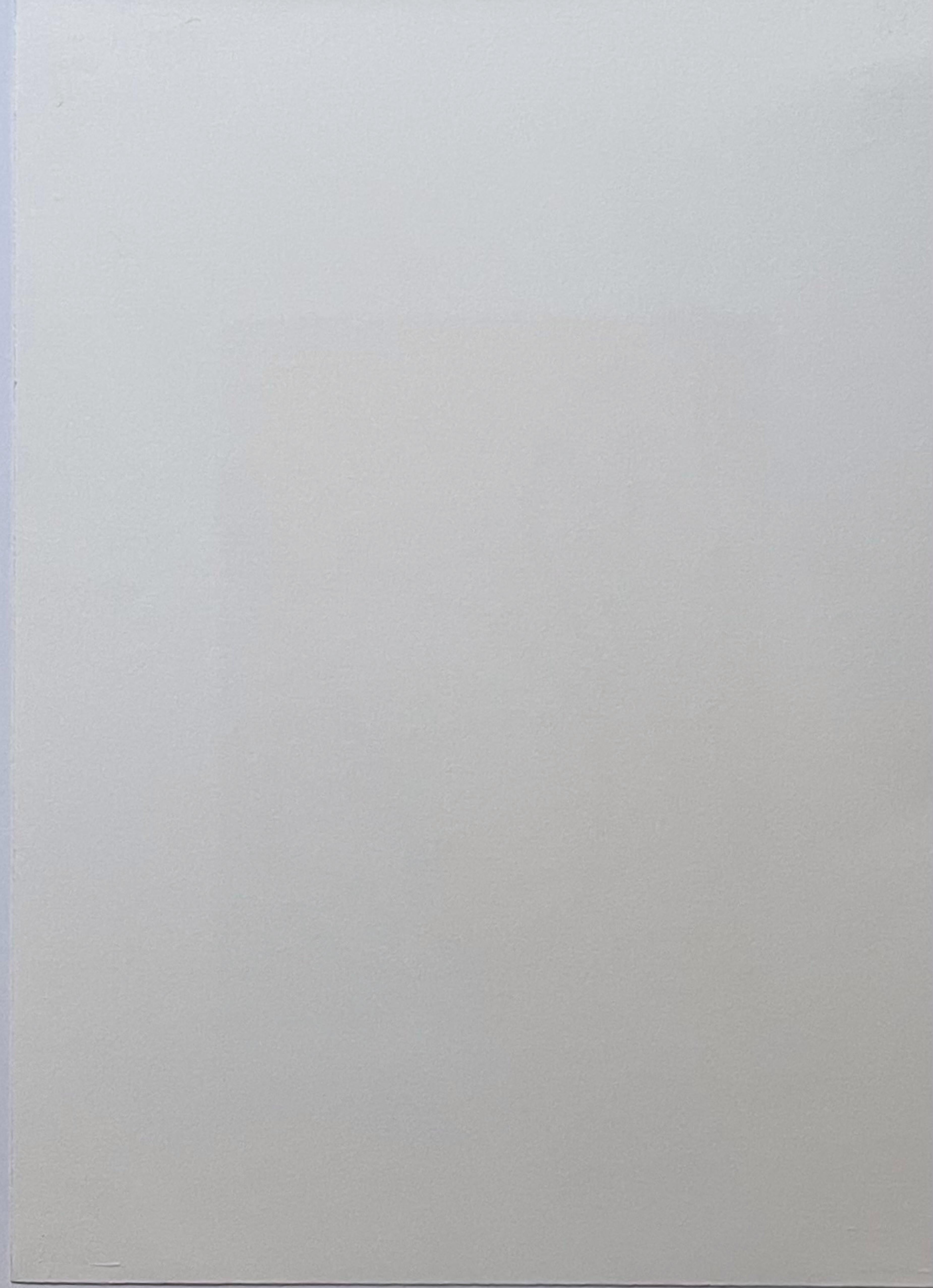 Donald Baechler, The Benefit Mummy. Rare Linoleum Chine Colle print, signed 7/17 For Sale 6