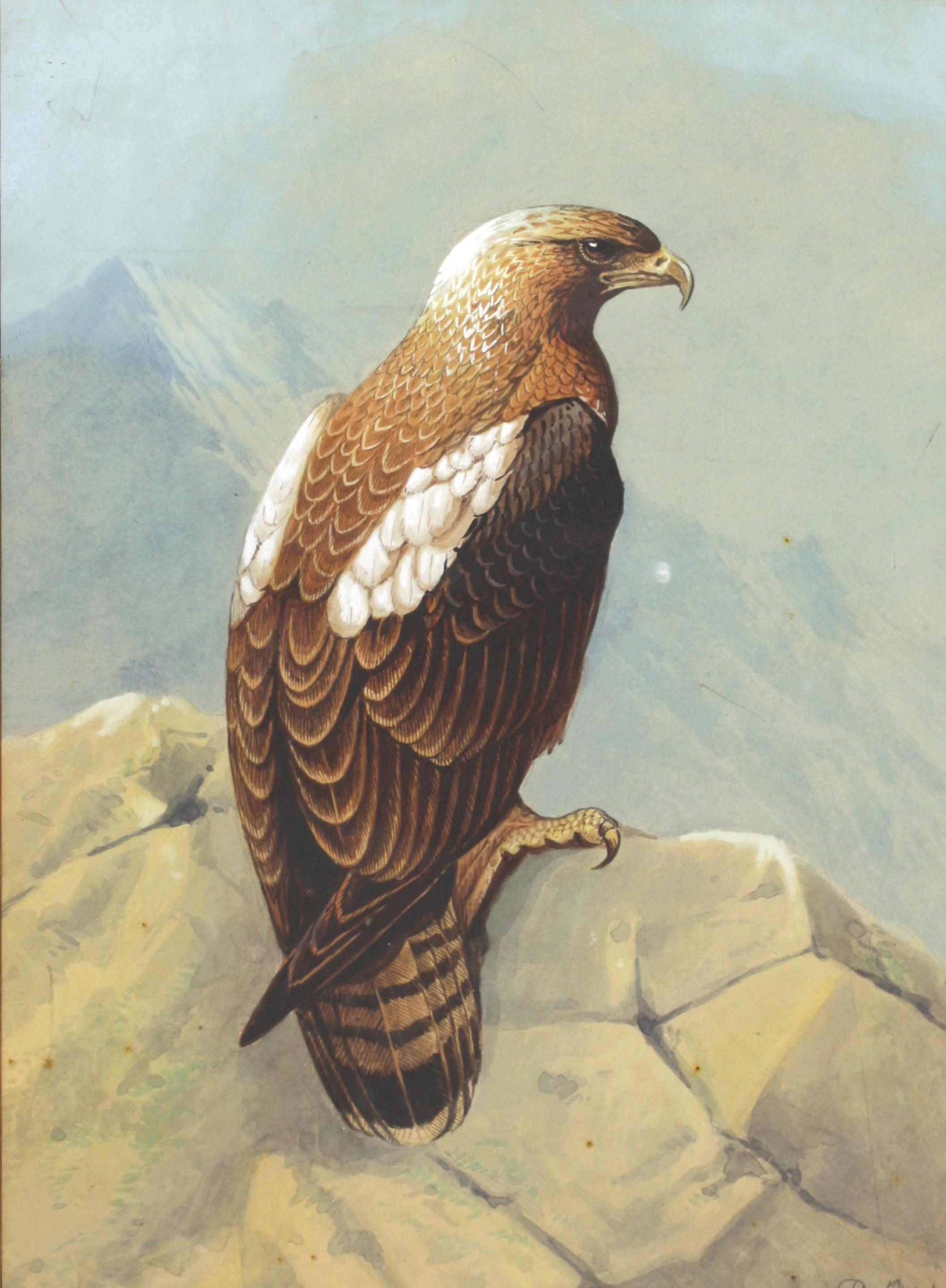 Donald BIRBECK 'XX' 20. Jahrhundert „Eagle““ im Angebot 1