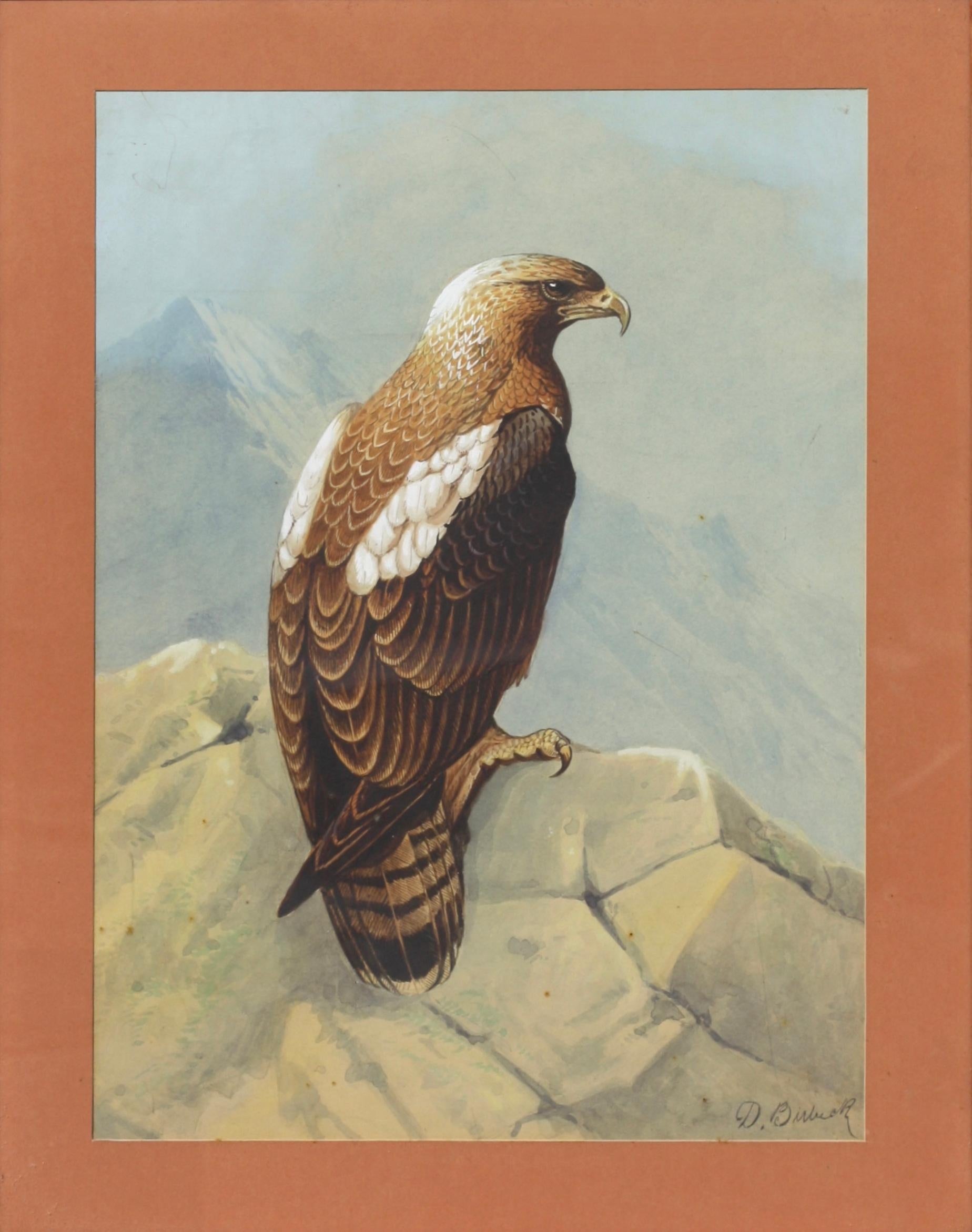 Donald BIRBECK 'XX' 20. Jahrhundert „Eagle““ im Angebot 3