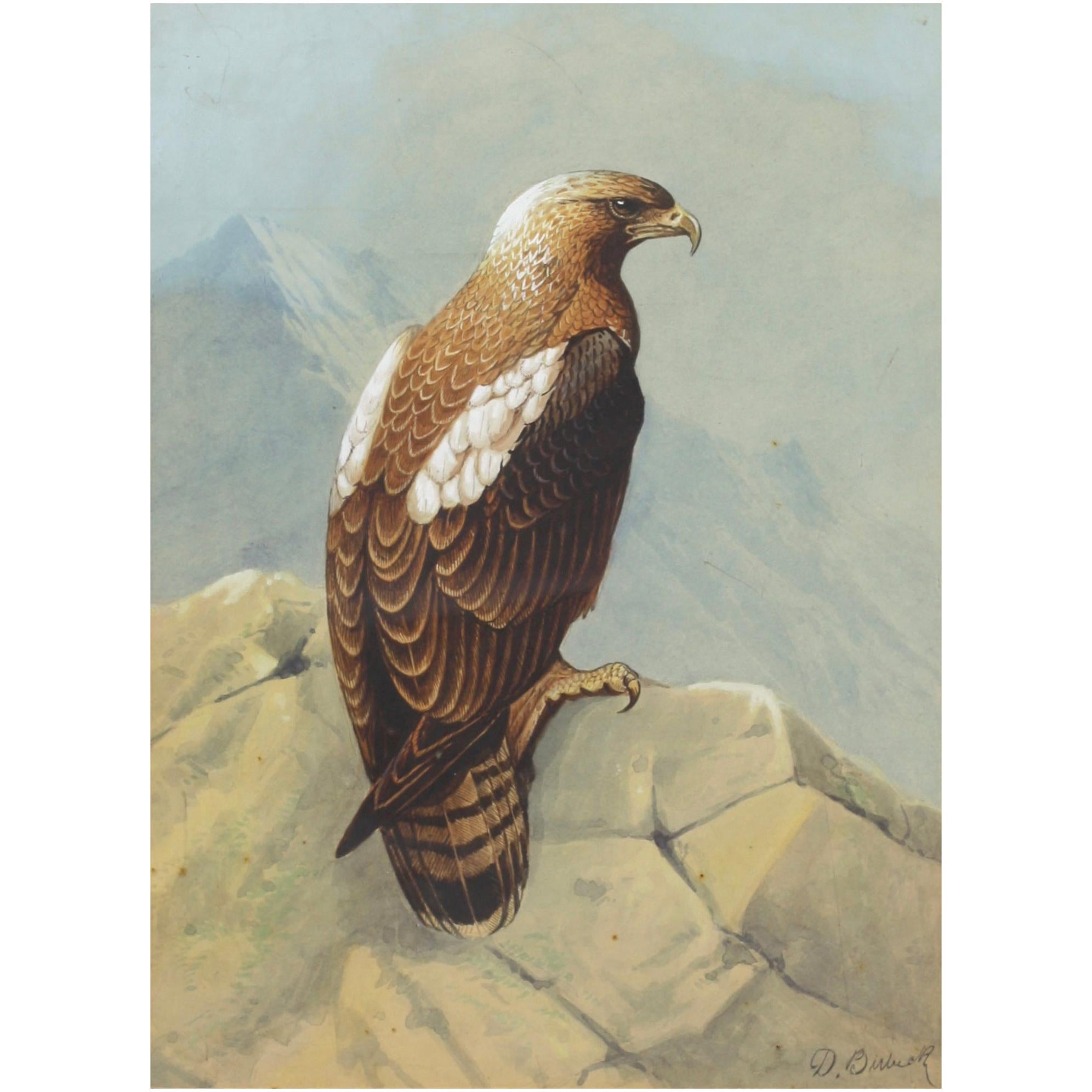 Donald BIRBECK « XX » 20ème siècle « aigle »