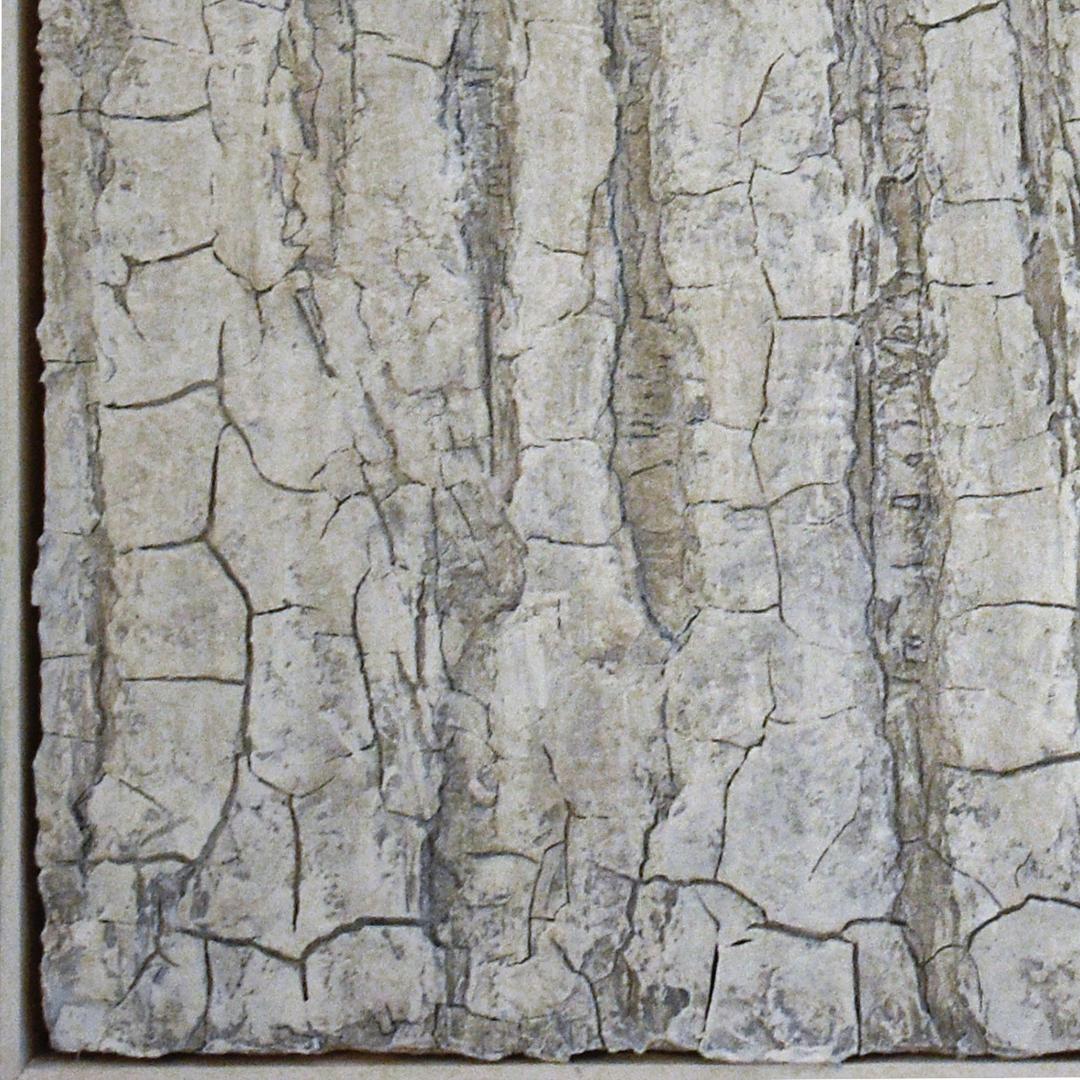 White Trees: Monochromatic Abstracted Landscape Painting of White Forest 1