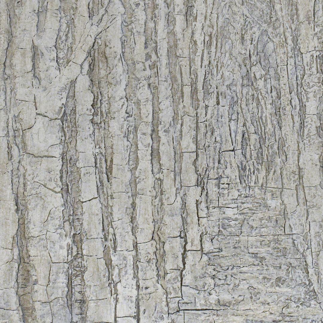 White Trees: Monochromatic Abstracted Landscape Painting of White Forest 2