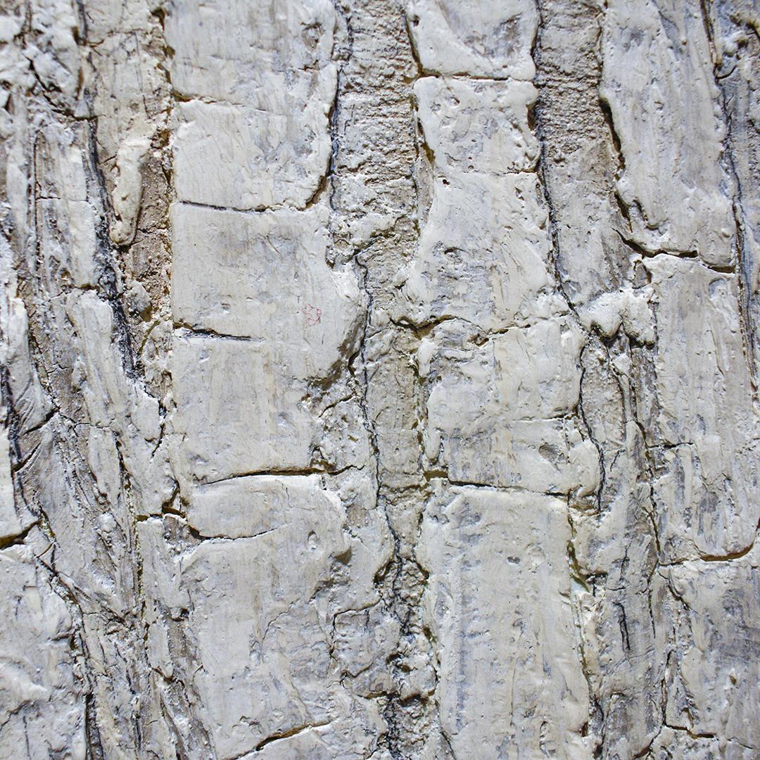 White Trees: Monochromatic Abstracted Landscape Painting of White Forest 3