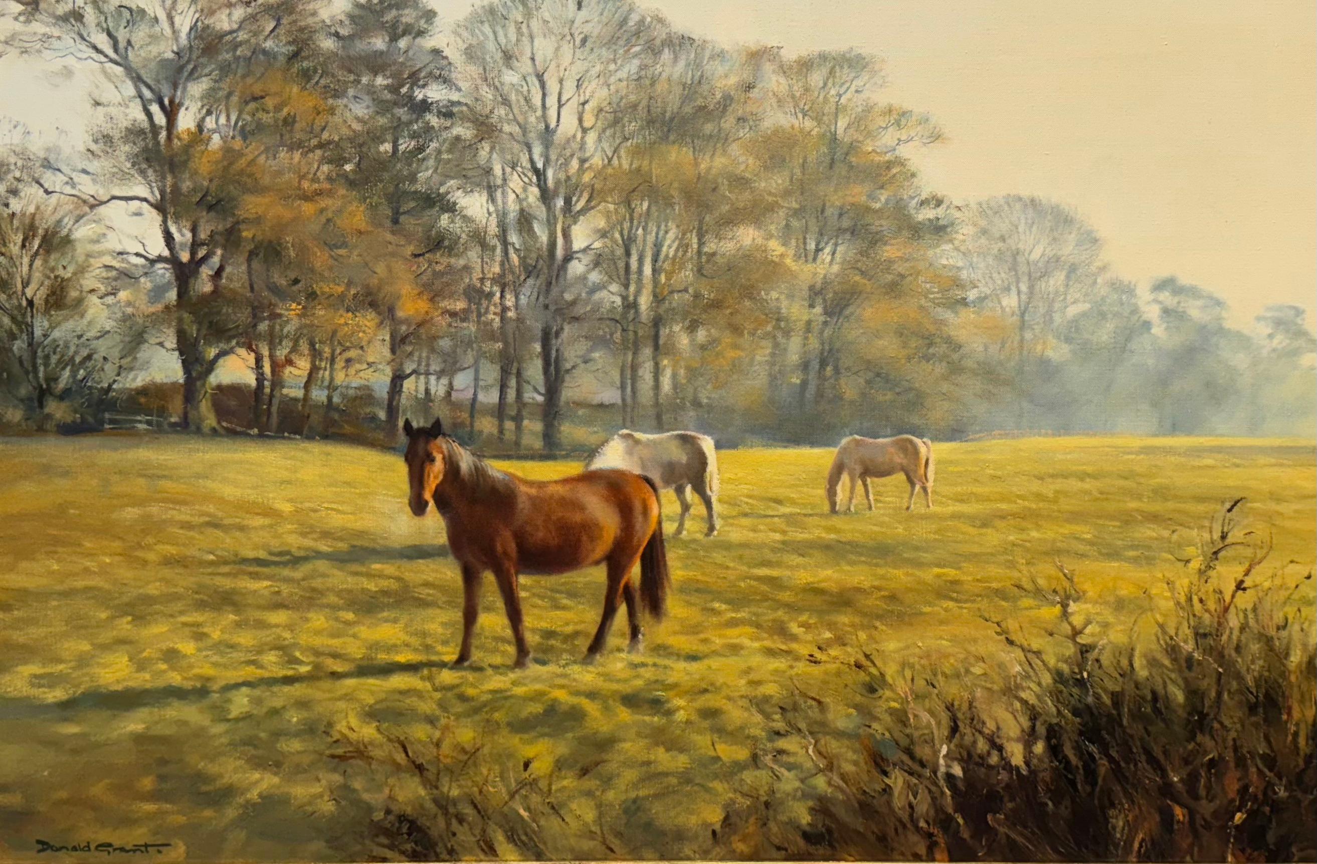 Pferde auf einer Koppel – Painting von Donald Grant