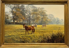 Horses in a paddock
