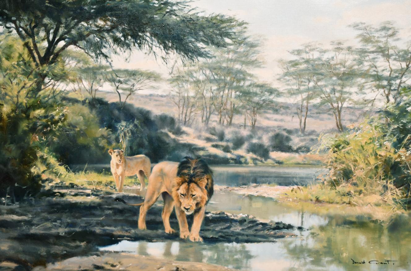 Donald Grant Animal Painting – Lions - Abendgetränk
