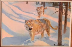 Portrait of Two Siberian Snow Tigers in a snow covered landscape.
