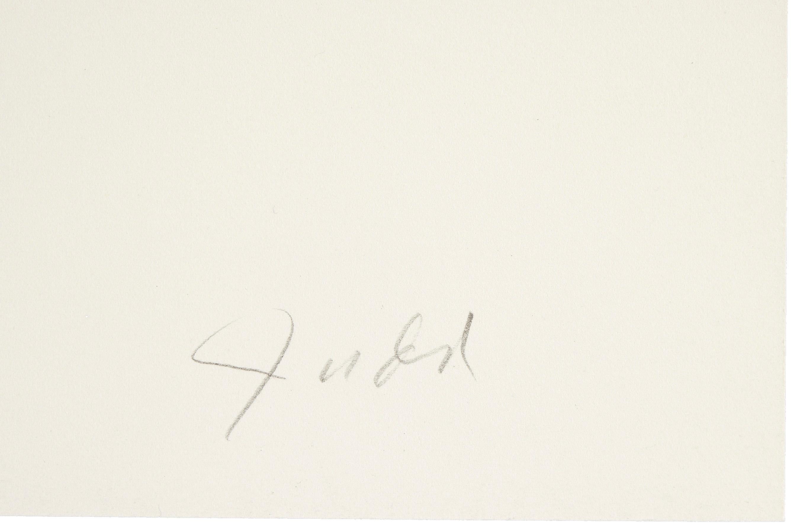 Senza titolo -- Stampa, xilografia, minimalismo, arte contemporanea di Donald Judd 2