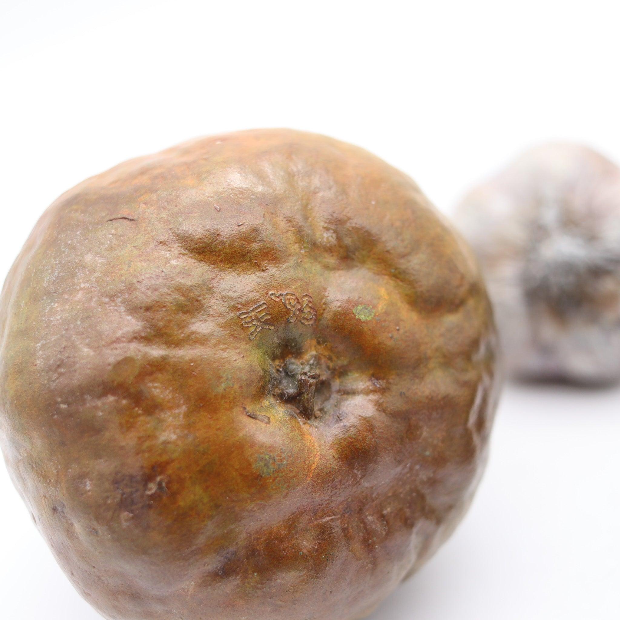 DONALD L. REED 1993 Suite di verdure e frutta a grandezza reale in policromia in vendita 1