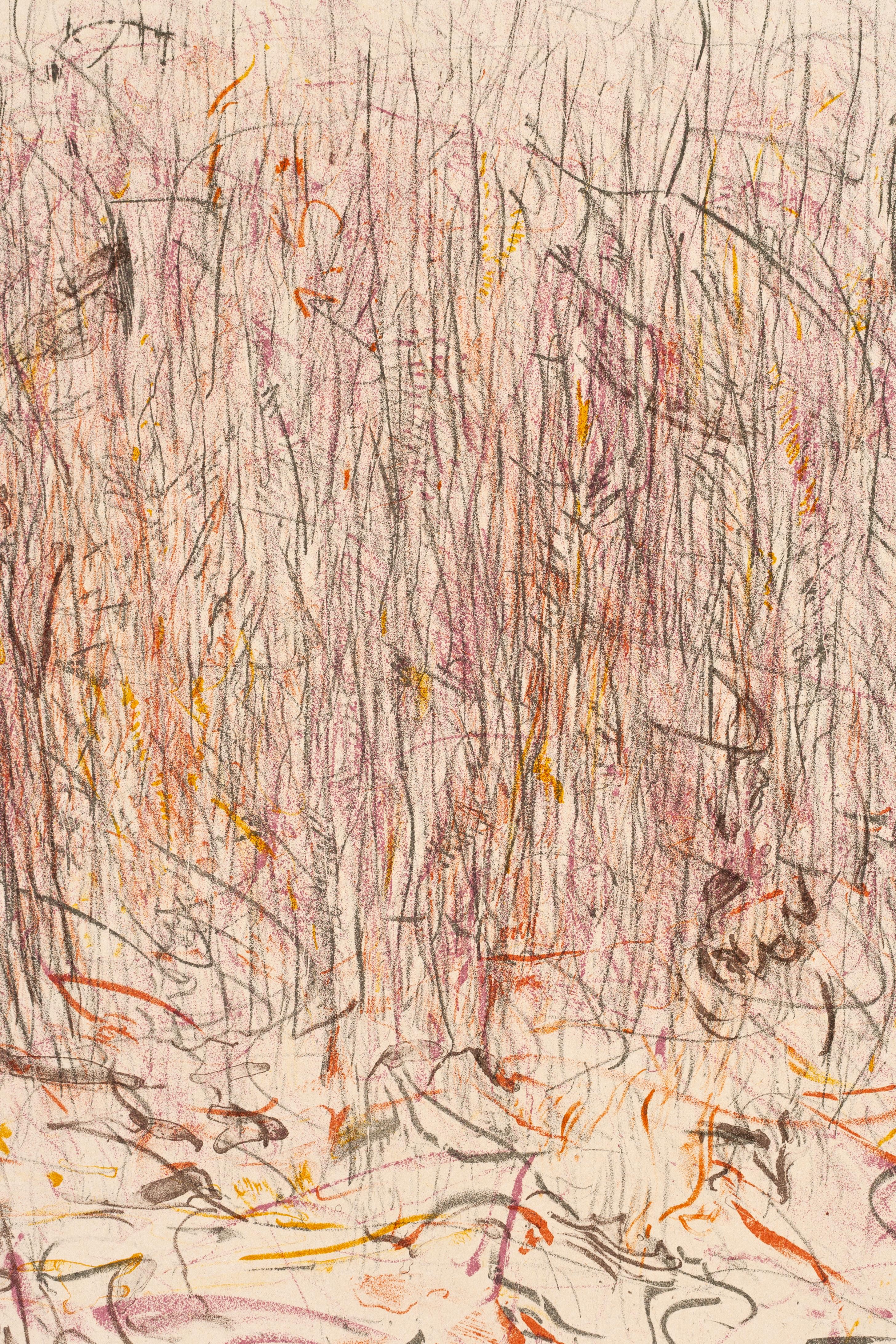 Ohio Garden Lynx - Abstract Print by Donald Rohels
