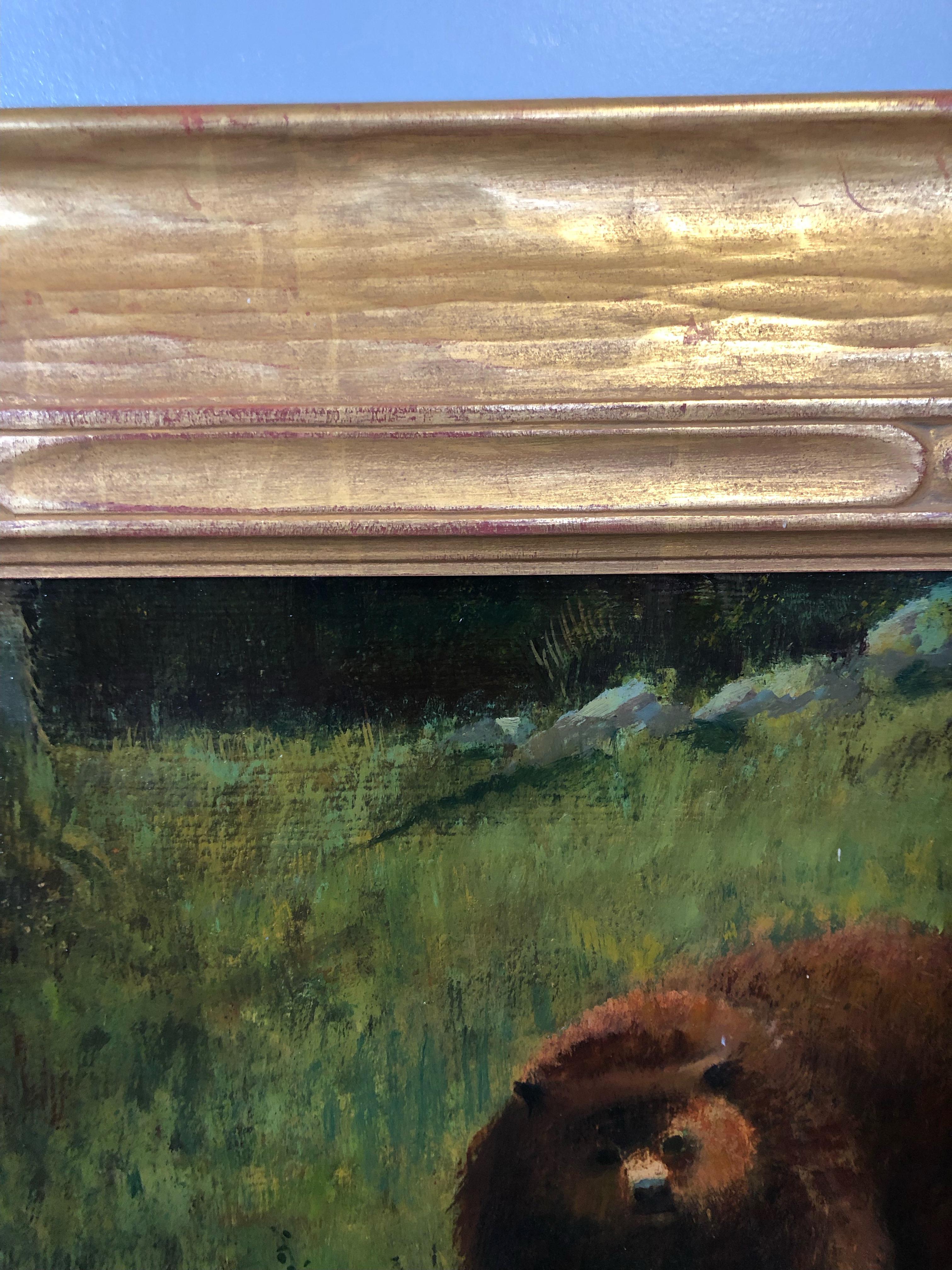 Grizzly in the Wild For Sale 1