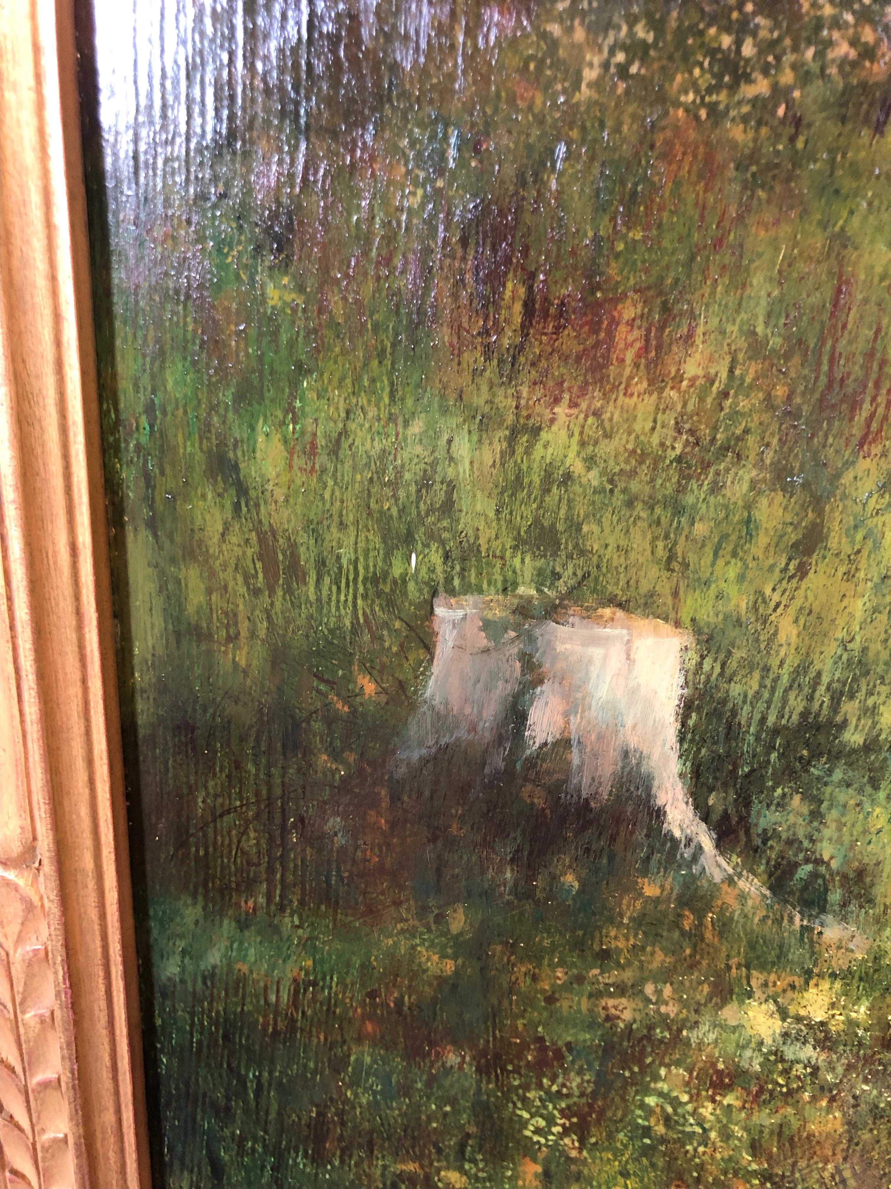 Grizzly in the Wild For Sale 2