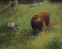 Der Grizzly in der Wildnis