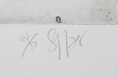 Chair Swirl Plant, Etching by Donald Saff