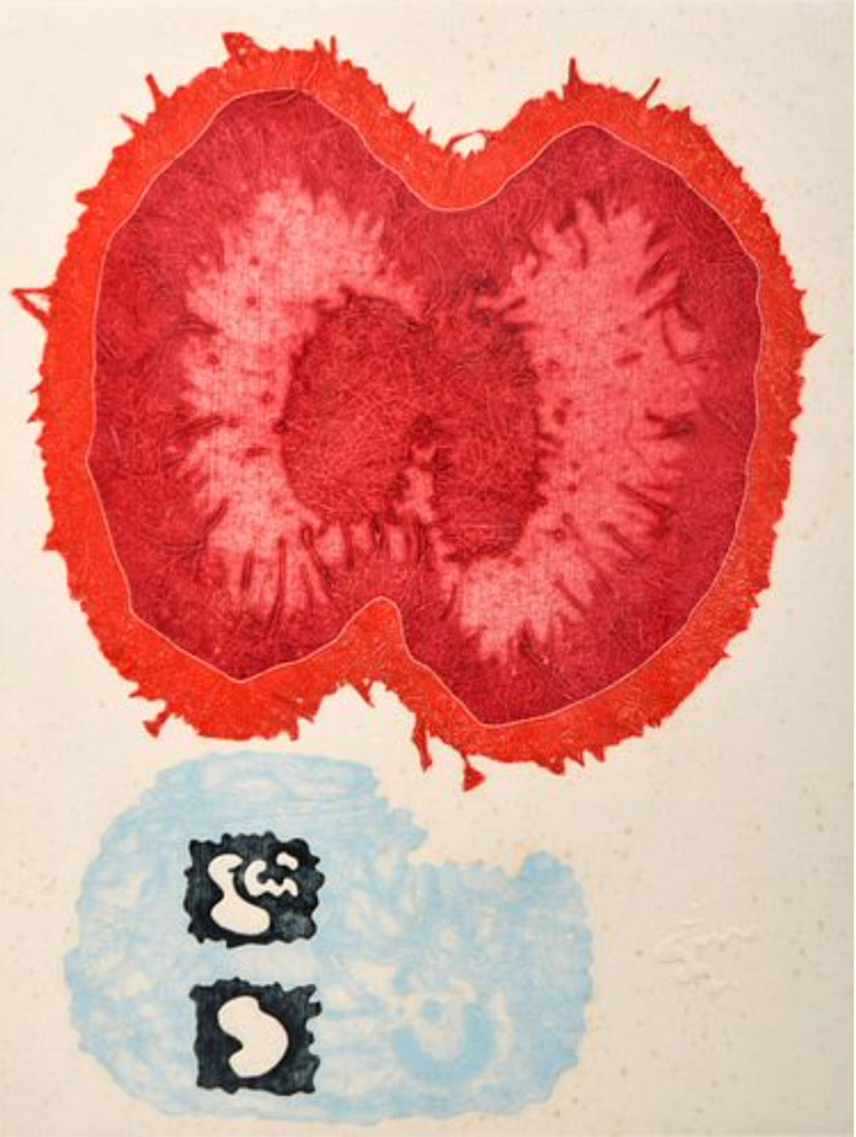Flower Muscle - Print by Donald Saff
