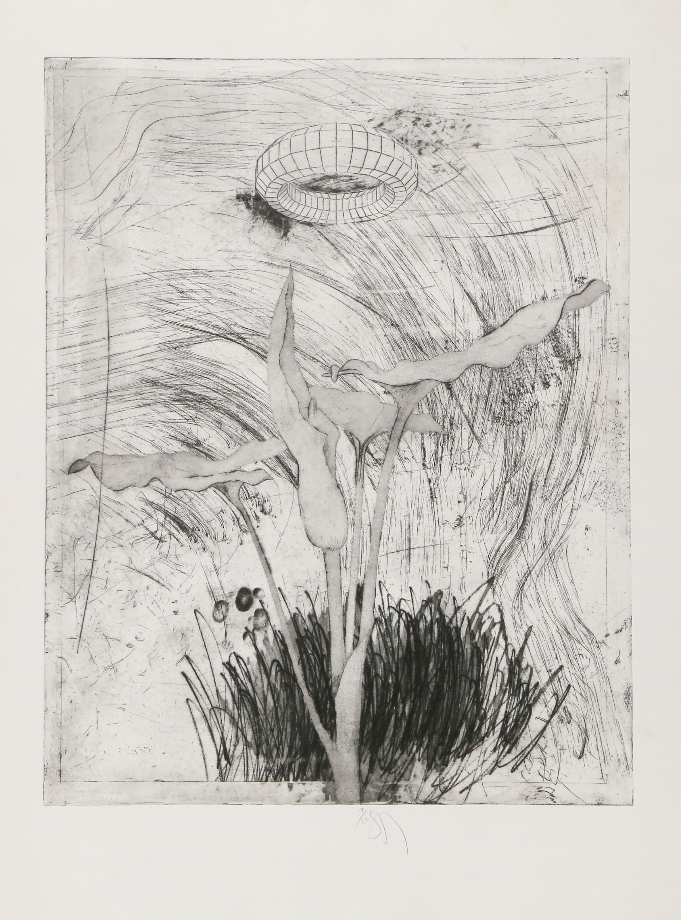 Plant Ring II, Surrealist Etching on Arches by Donald Saff For Sale 2