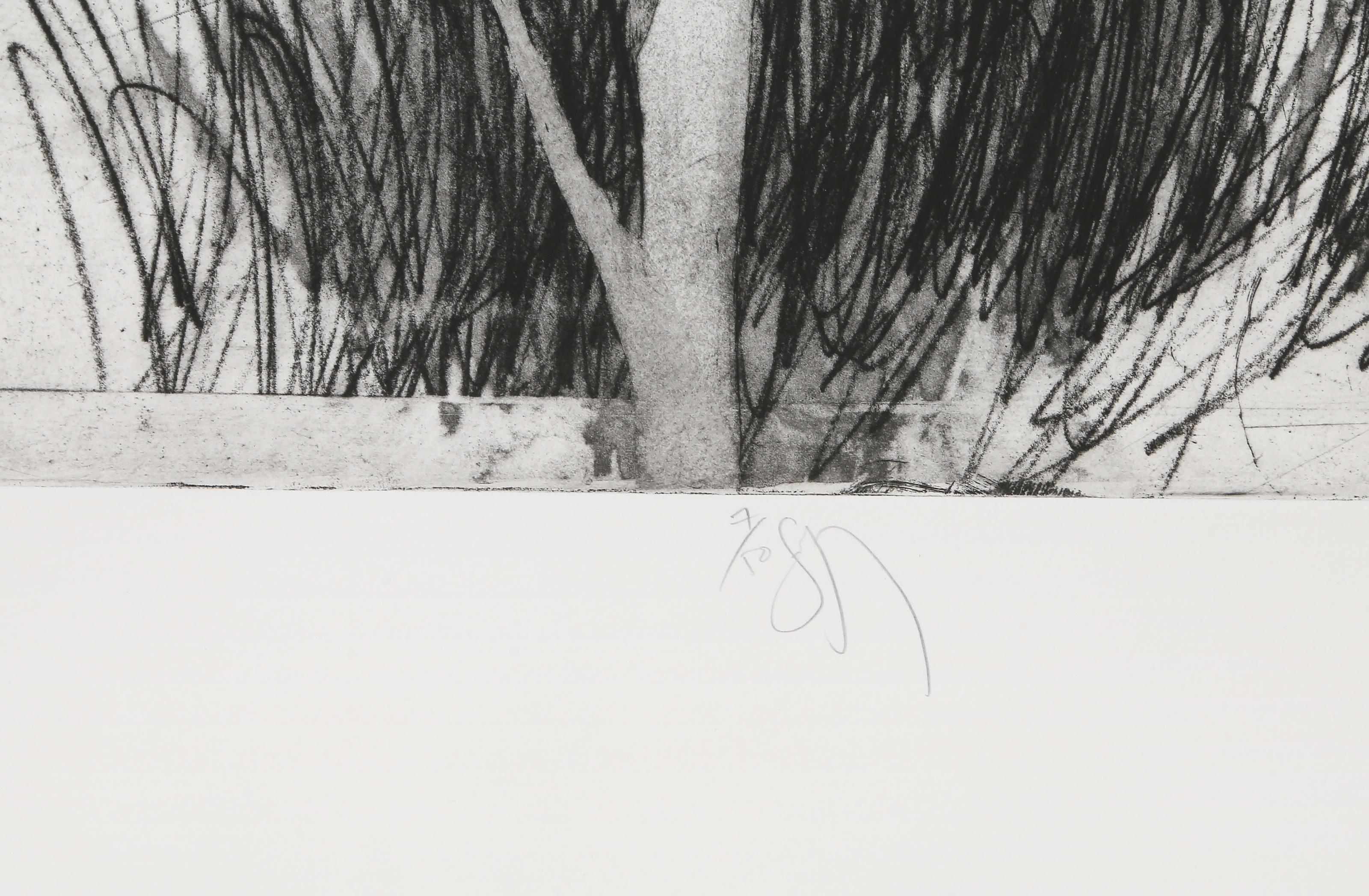 Plant Ring II, Surrealist Etching on Arches by Donald Saff For Sale 3