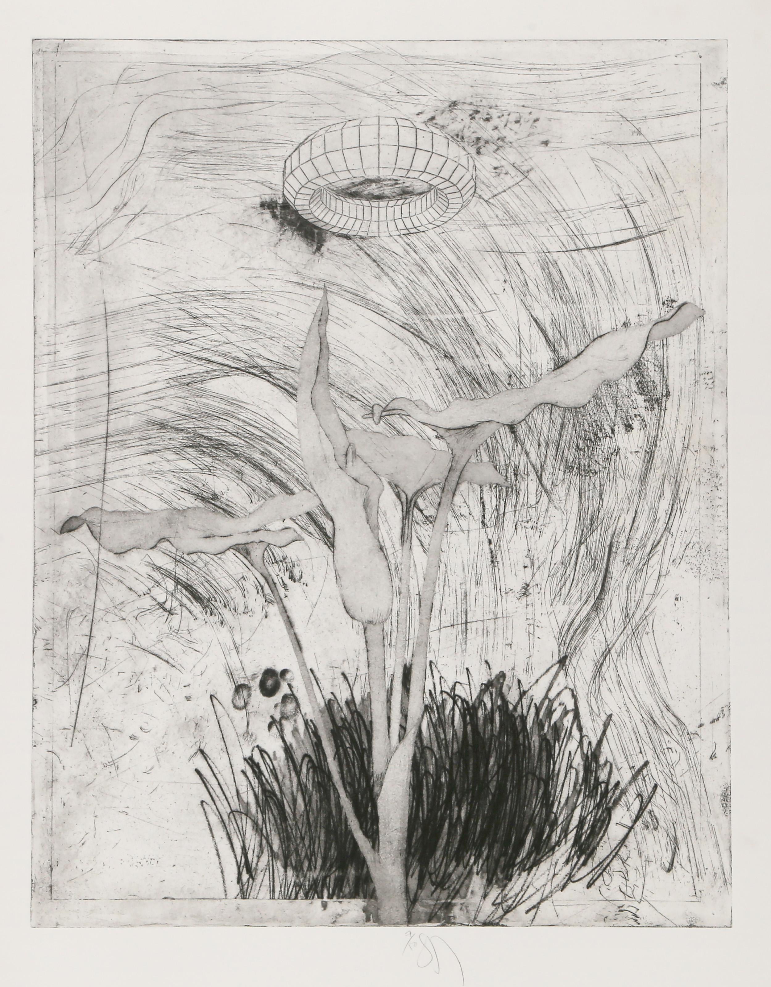 Donald Saff, American (1937 - ) - Plant Ring II, Year:  1980, Medium:  Etching on Arches, signed and numbered in pencil, Edition:  7/10, Image Size:  24 x 18.5 inches, Size:  30 x 22.25 in. (76.2 x 56.52 cm)