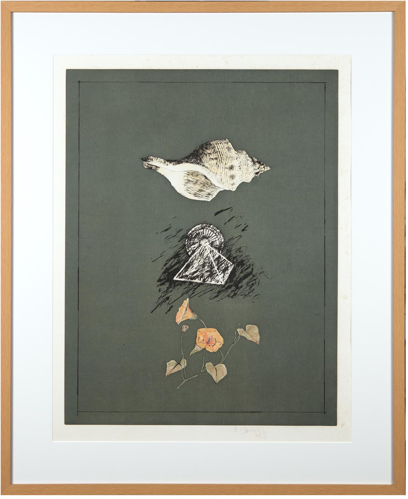 Still Life with Shell - Print by Donald Saff