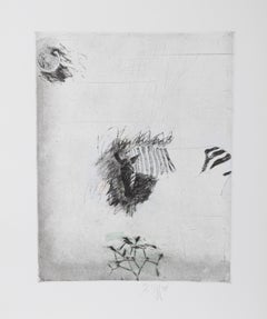Vintage Zebra, Etching by Donald Saff