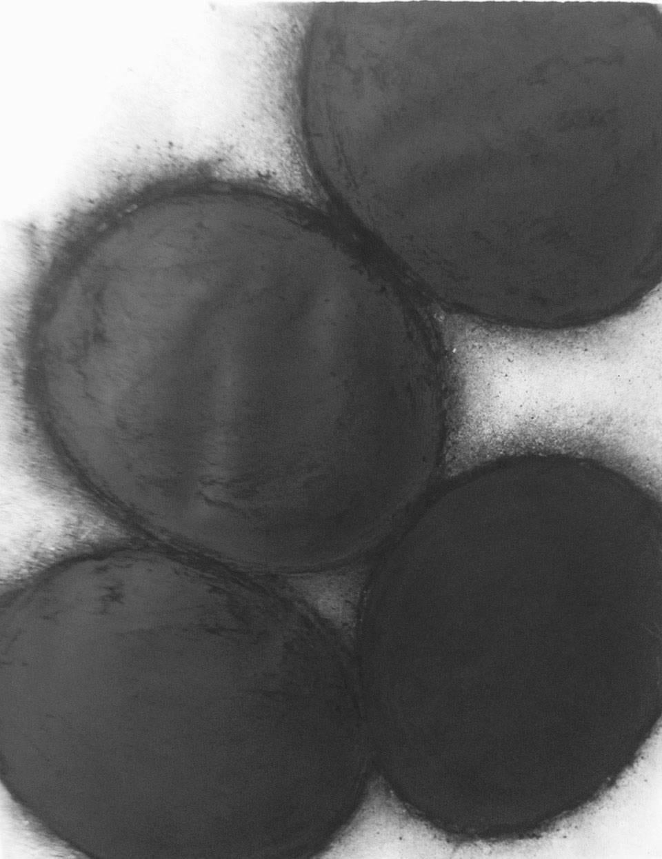 Black Eggs – Painting von Donald Sultan