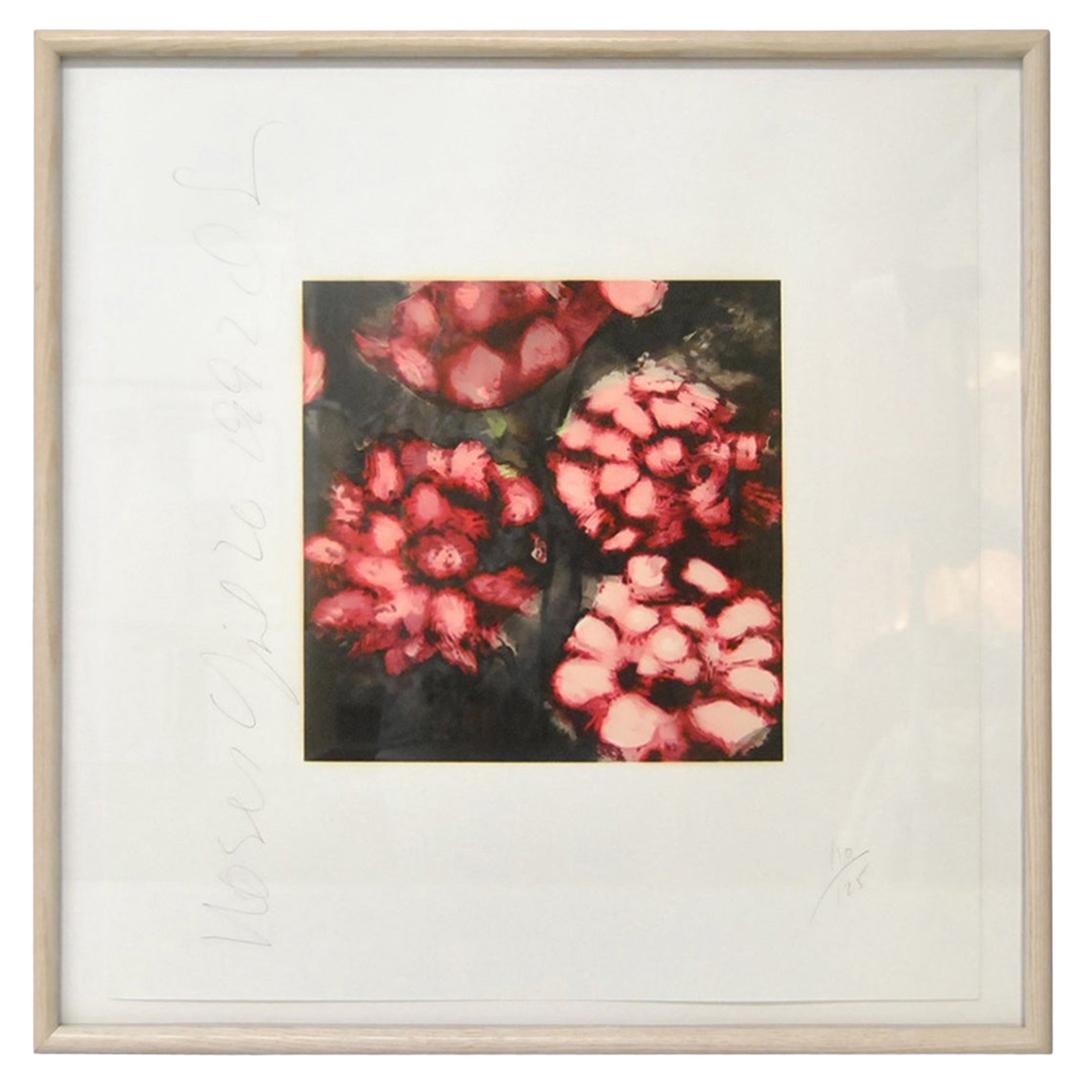 Donald Sultan Print "Red Roses" Signed and Numbered 110/125, 1992