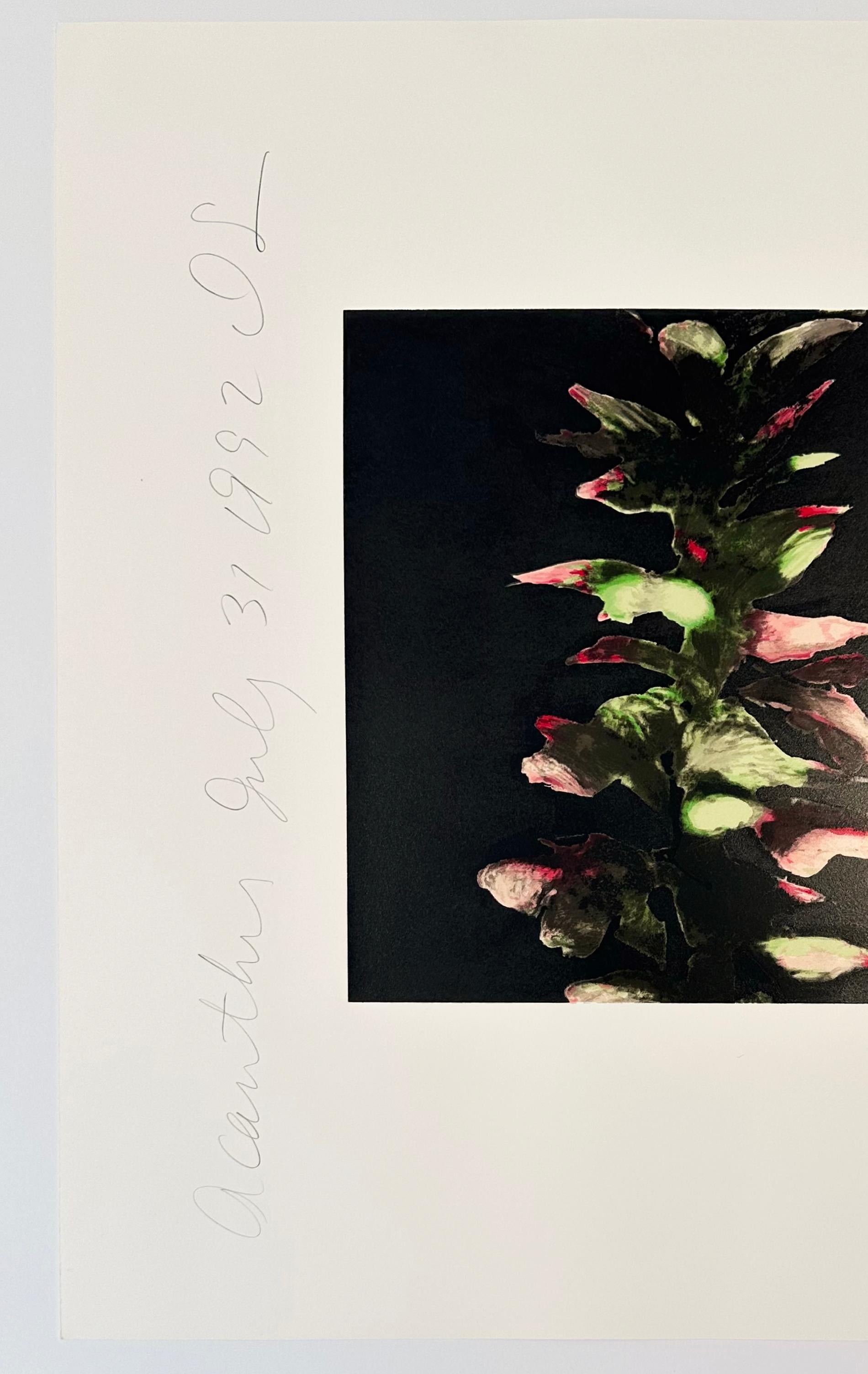 Acanto - Print Negro de Donald Sultan