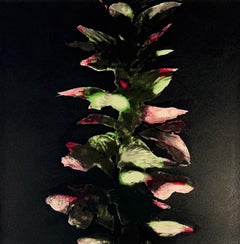 Acanthus