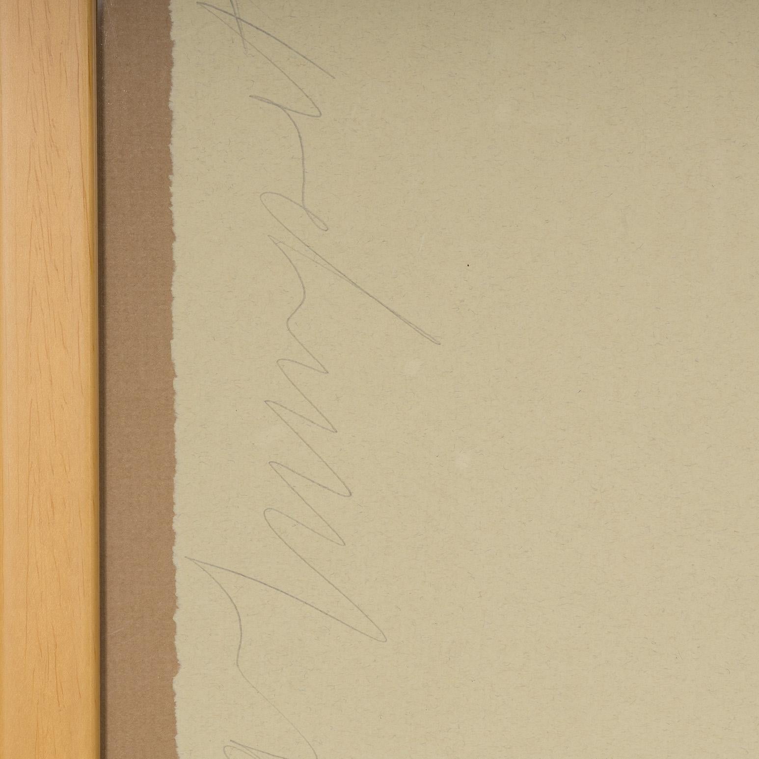 Aqua Trumpet For Sale 5