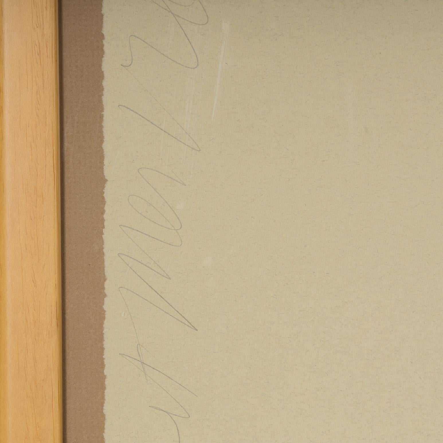 Aqua Trumpet For Sale 6