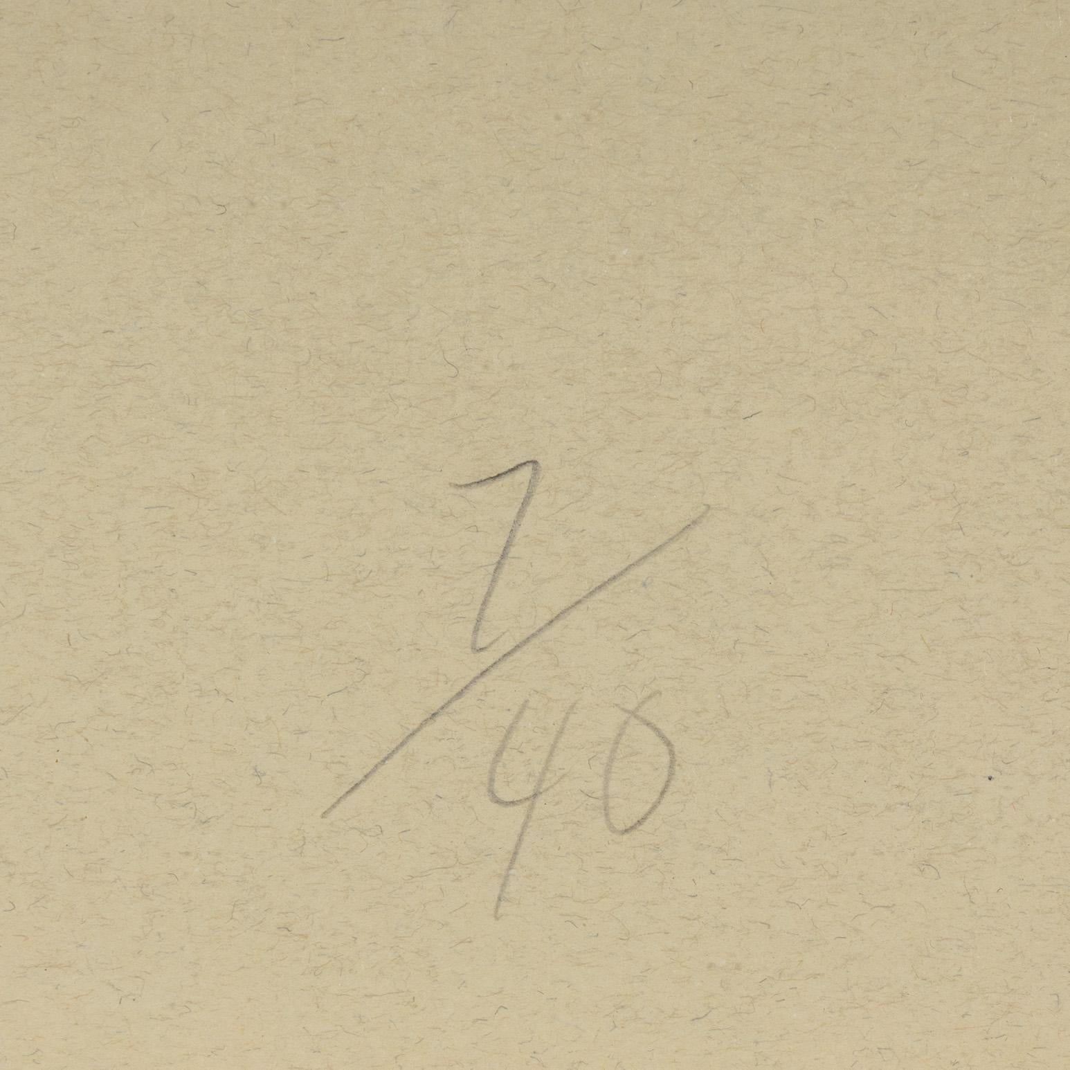 Aqua Trumpet For Sale 8