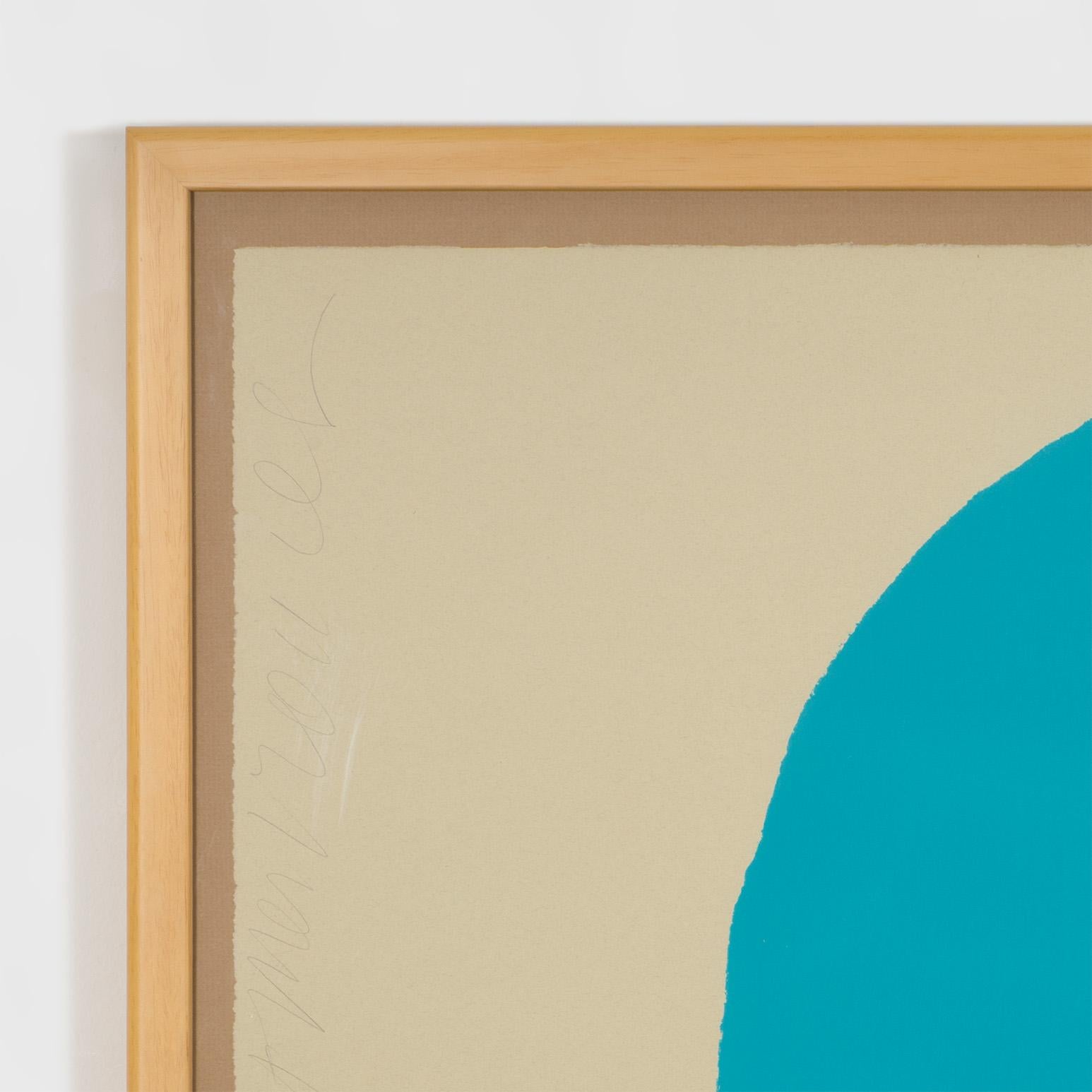 Aqua Trumpet For Sale 10