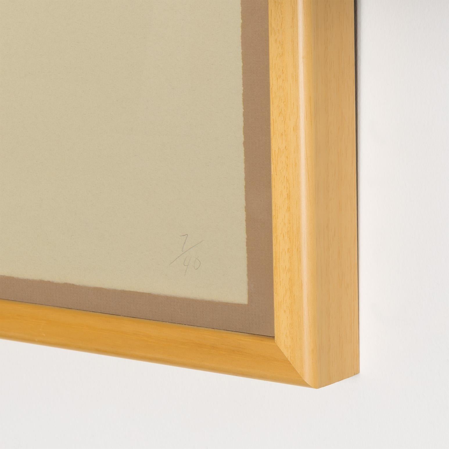 Aqua Trumpet For Sale 11