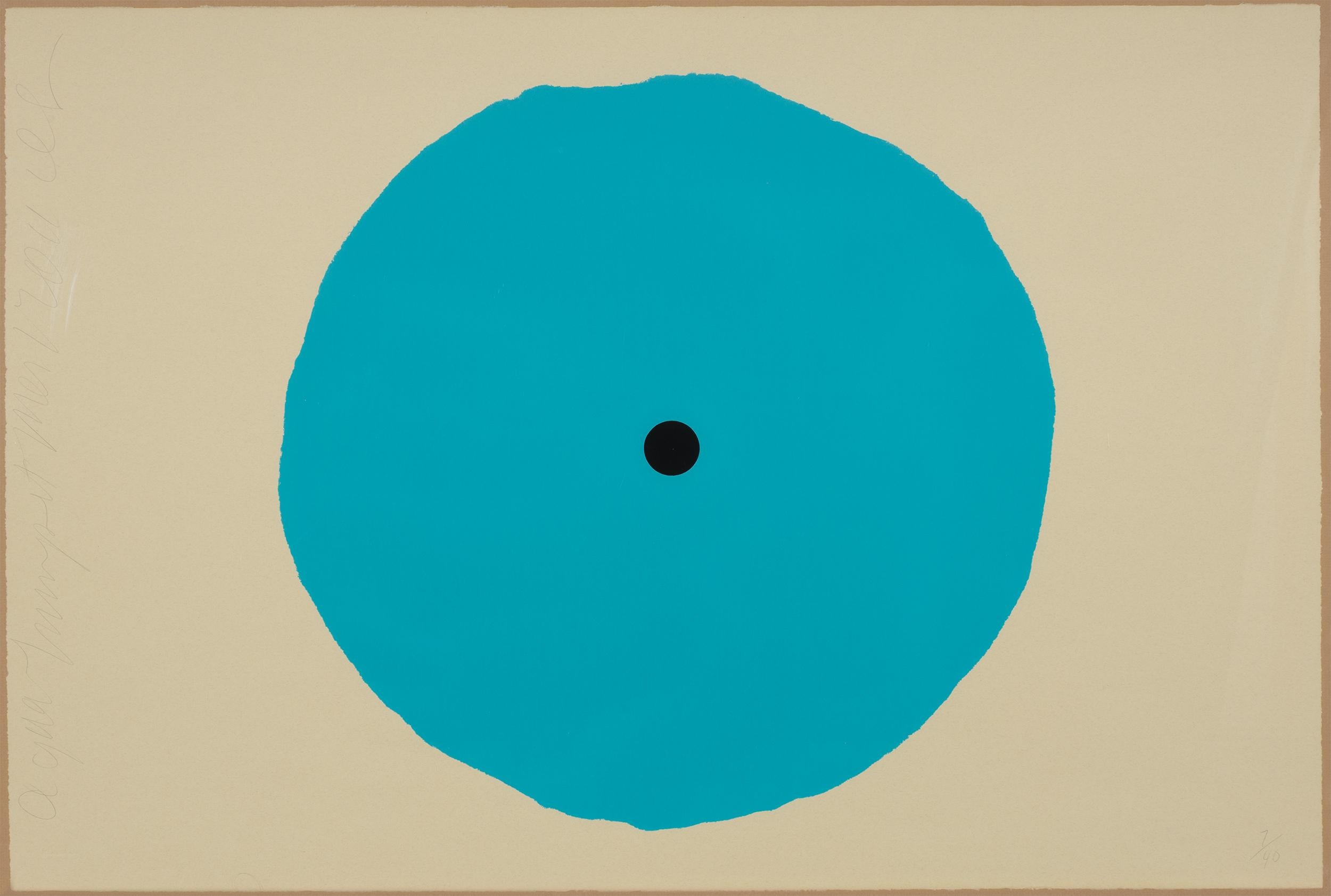 Aqua Trumpet For Sale 12