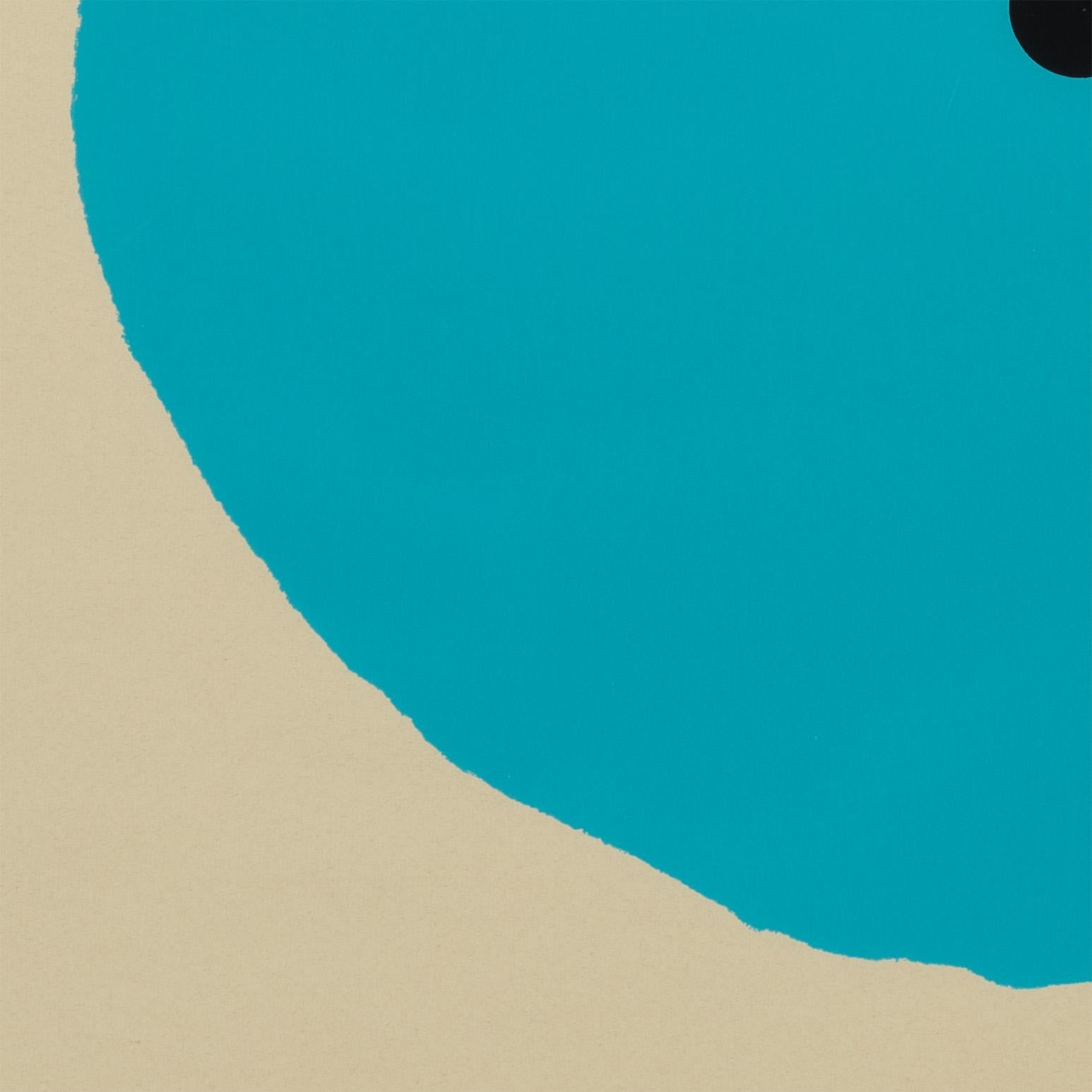 Aqua Trumpet For Sale 3