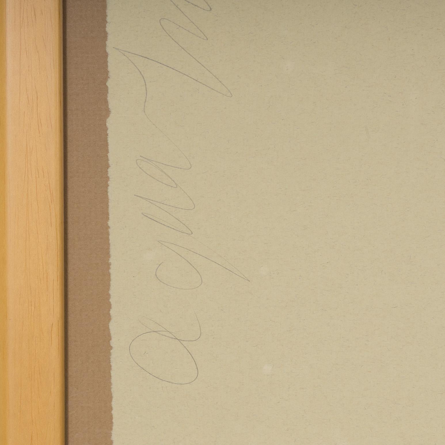 Aqua Trumpet For Sale 4