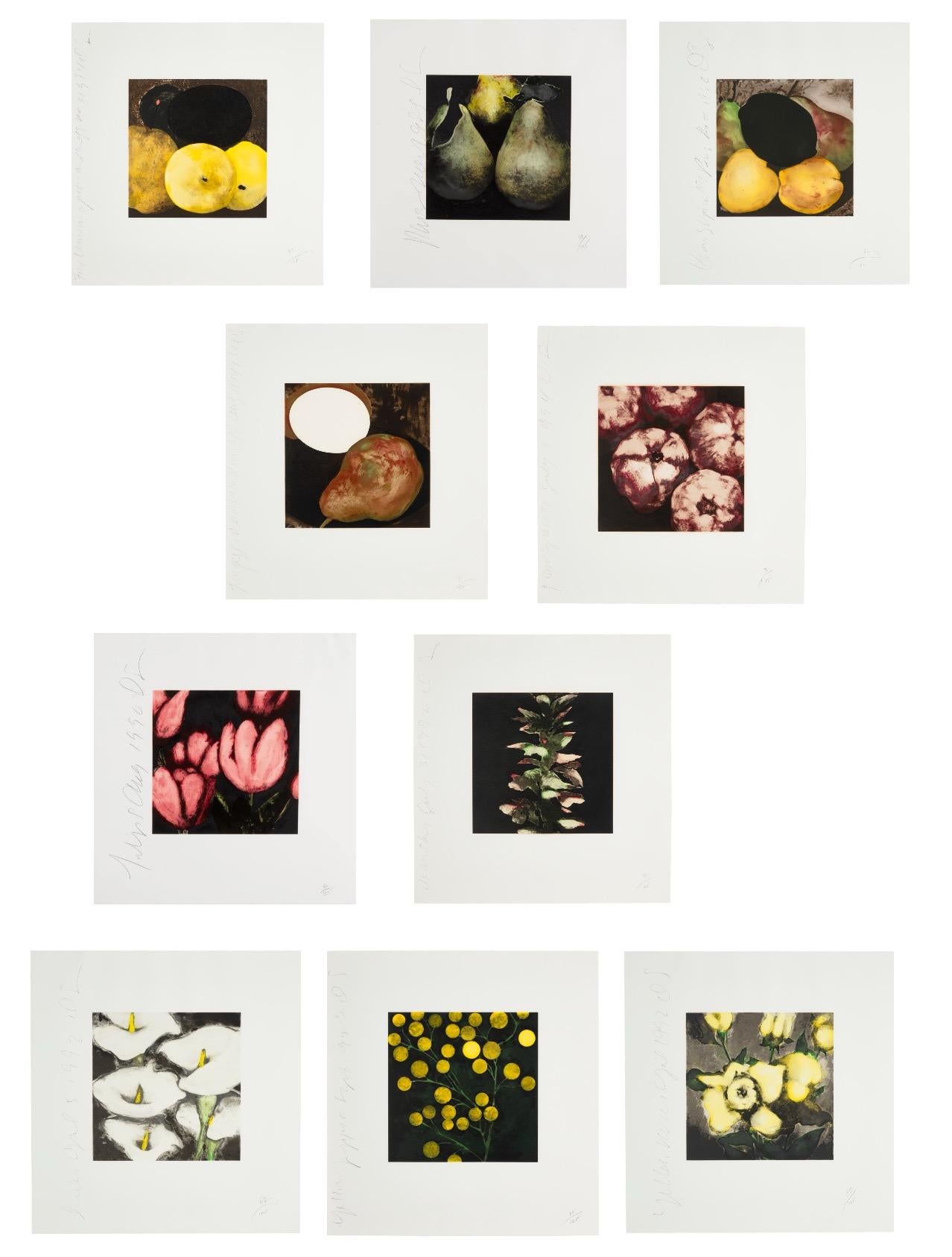 Ensamblaje de Frutas y Flores II y III - Print de Donald Sultan