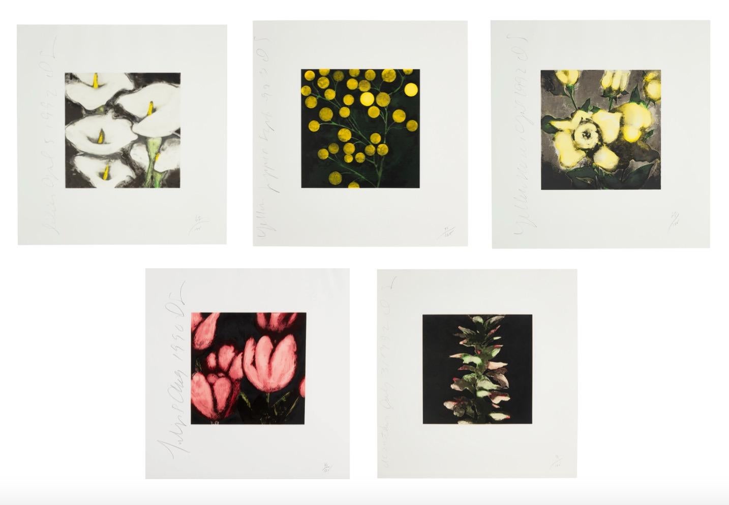 Ensamblaje de Frutas y Flores II y III - Print Contemporáneo de Donald Sultan
