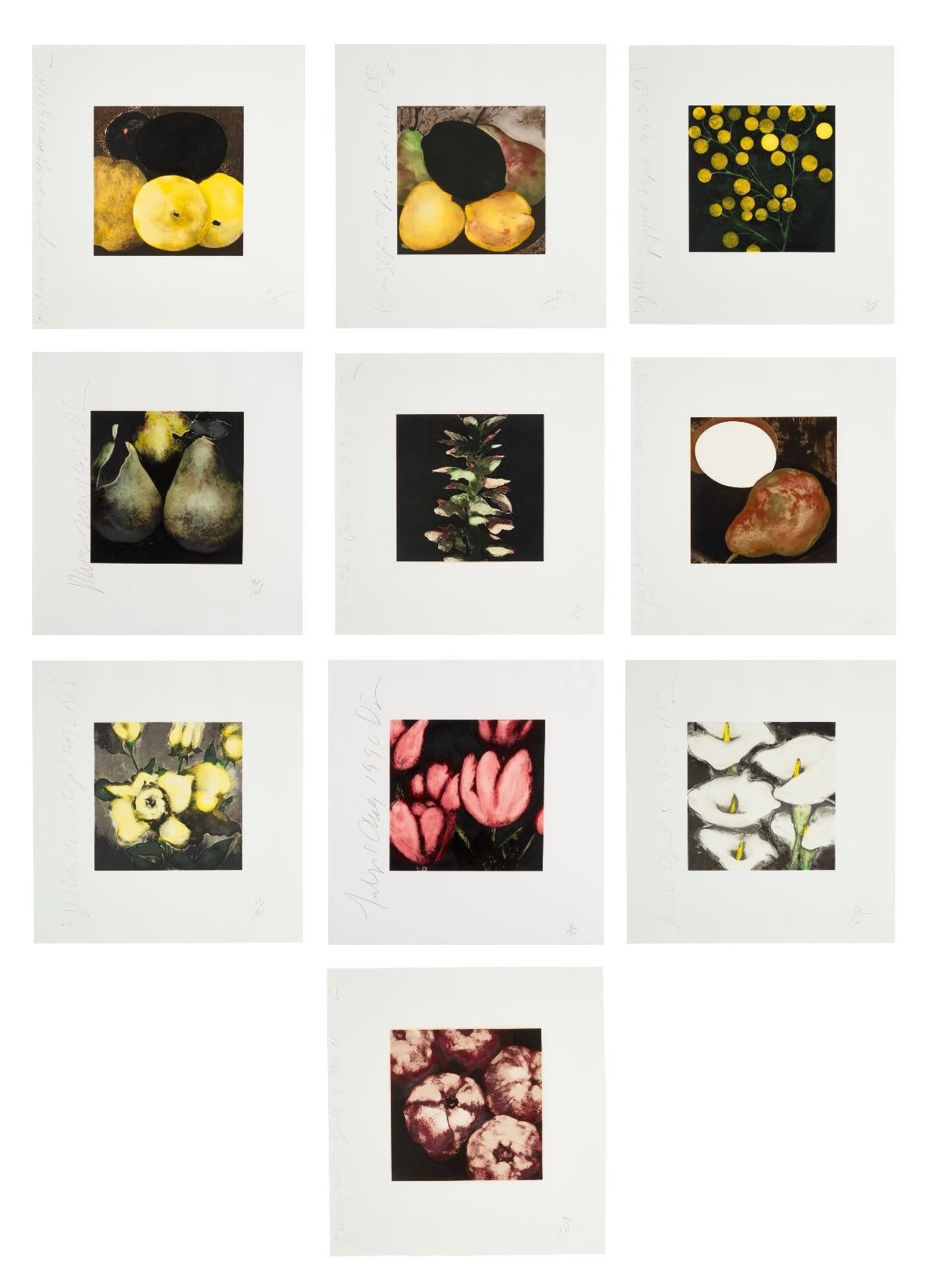 Ensamblaje de Frutas y Flores II y III - Still-Life Print Beige de Donald Sultan