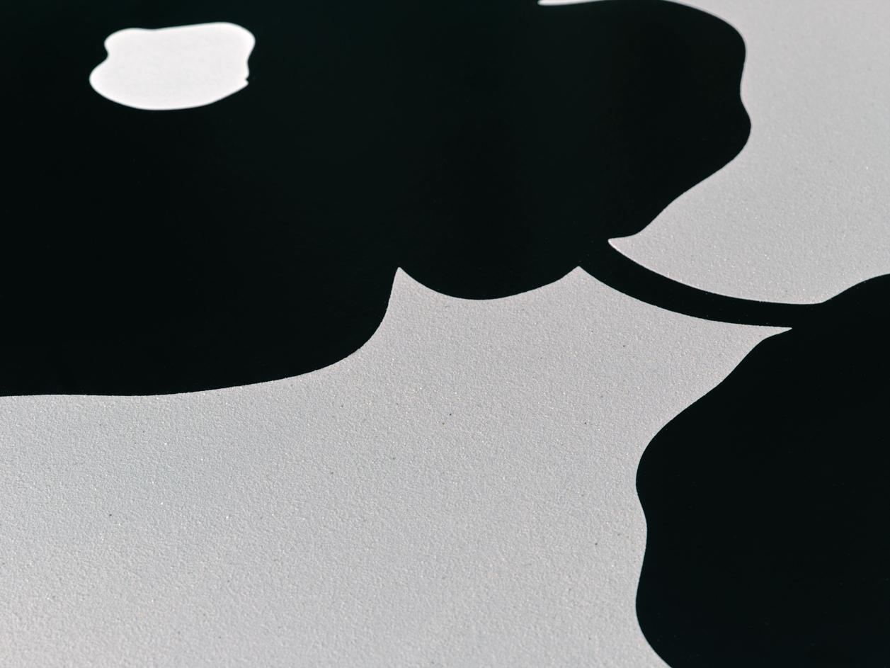 Black Double Poppies For Sale 2