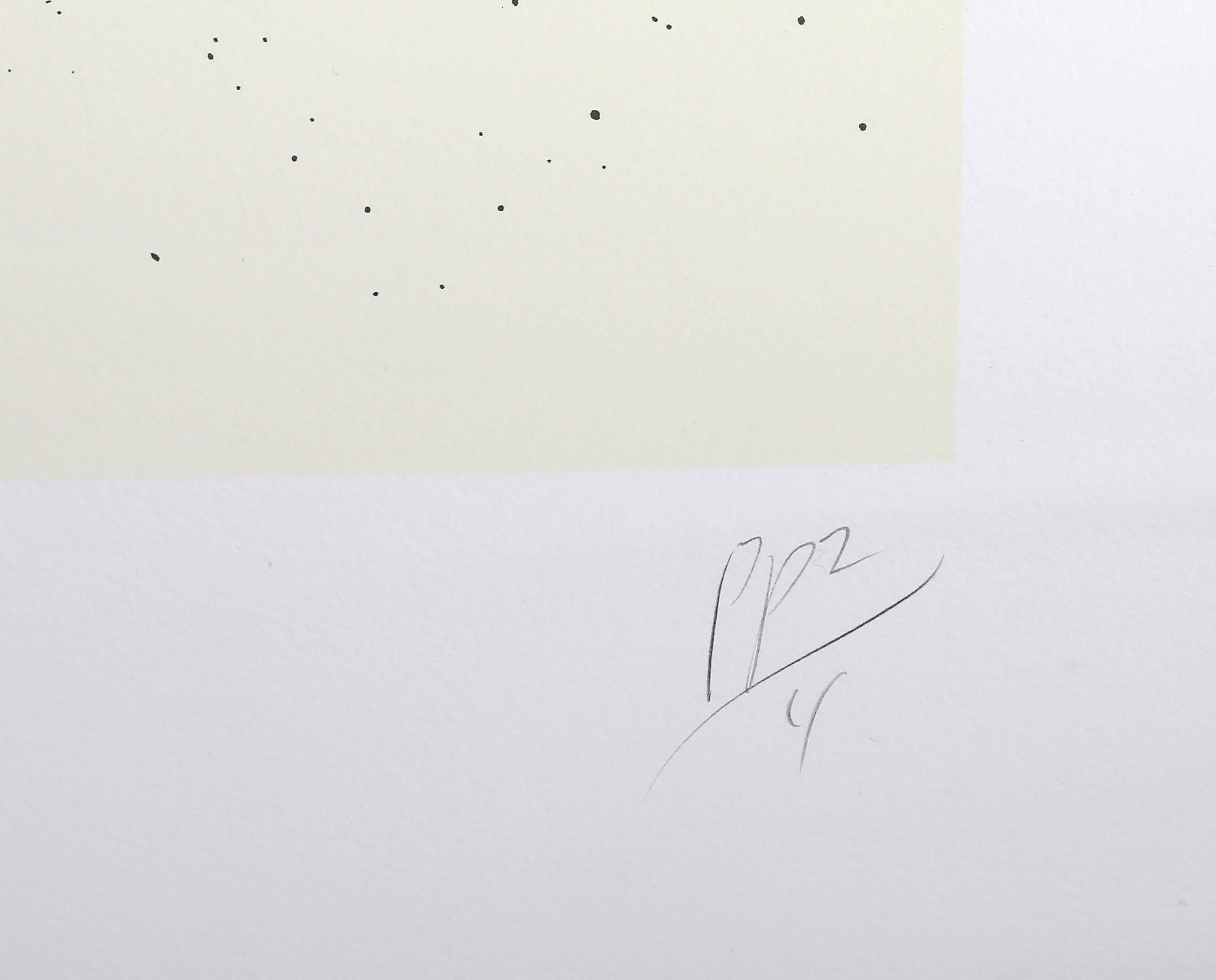 Black Roses, serigrafia astratta di Donald Sultan in vendita 2