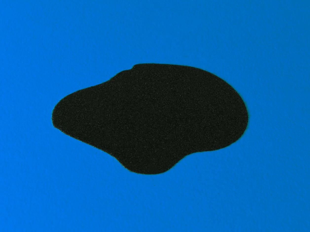 Blue Double Poppies For Sale 4