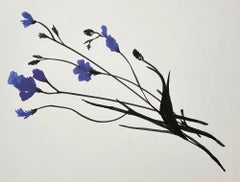 Blue Freesia, June 13, 2024